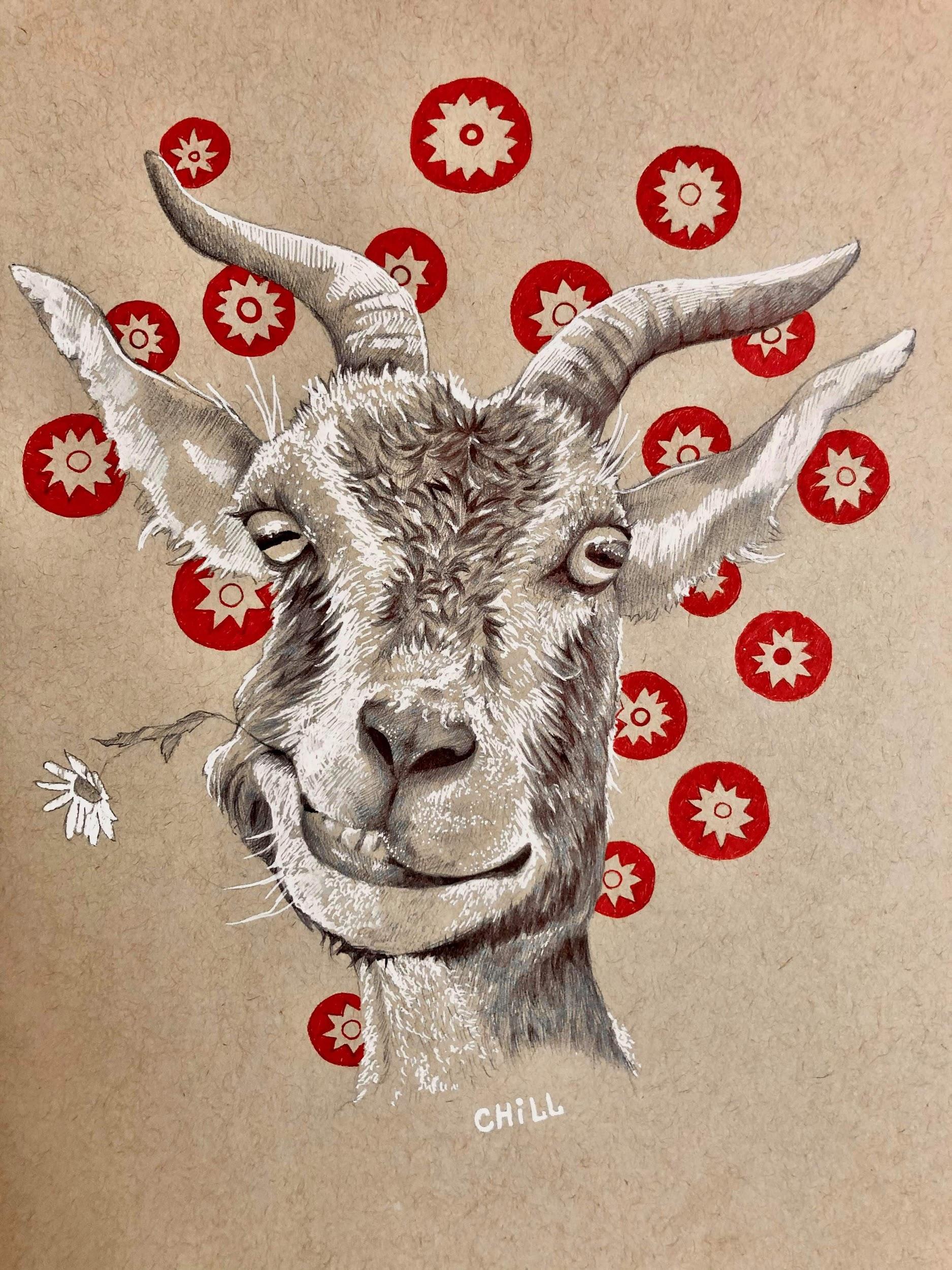 Deer