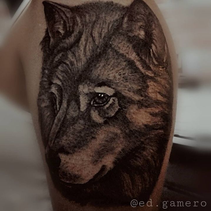 Edson Gamero_12