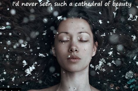 Fallen Angels (1)