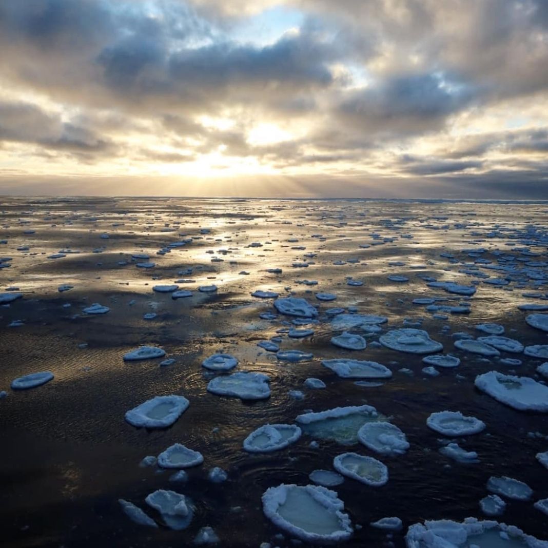 Simply Antarctica (12)