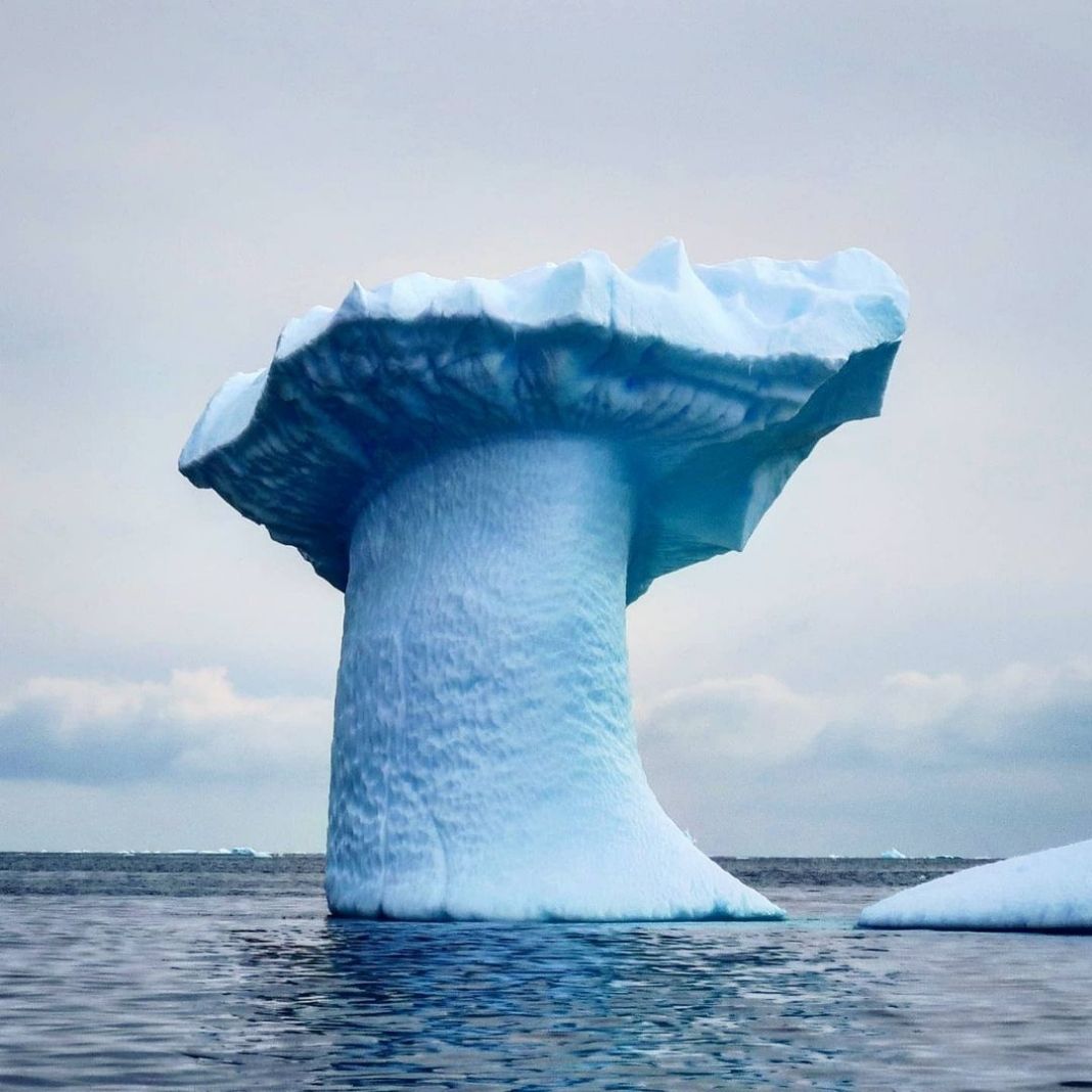 Simply Antarctica (13)
