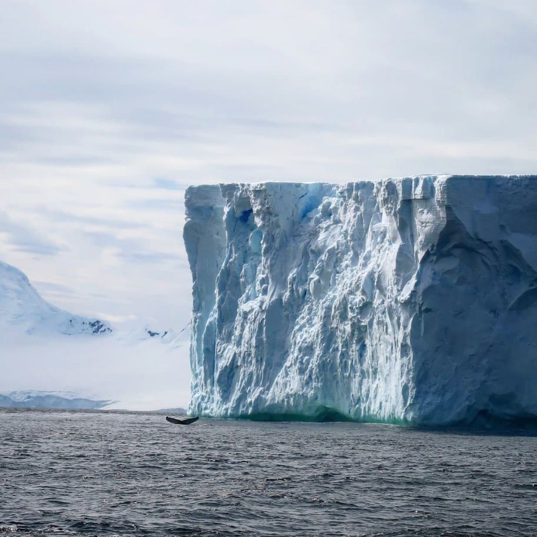 Simply Antarctica (17)