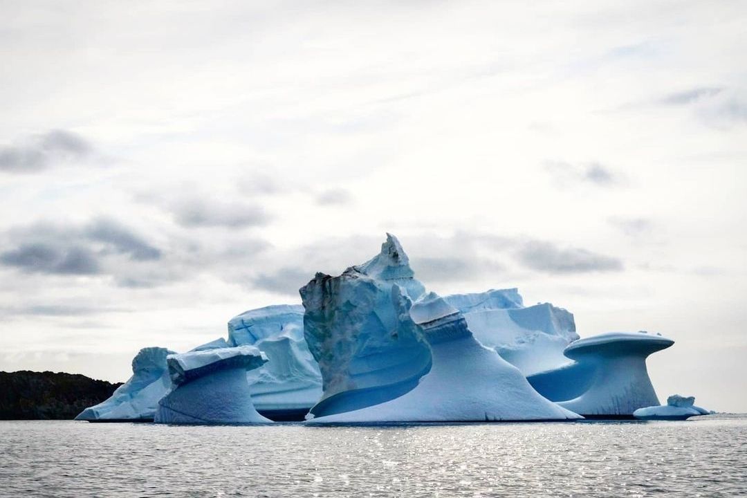 Simply Antarctica (24)