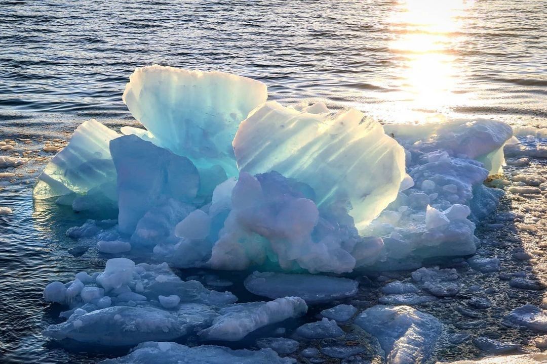 Simply Antarctica (26)