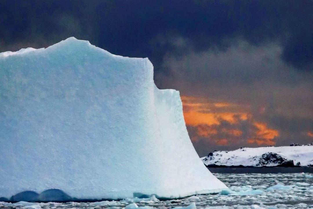Simply Antarctica (25)